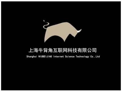 徐莉莉女士与互联网科技公司 业务范围与合规经营分析