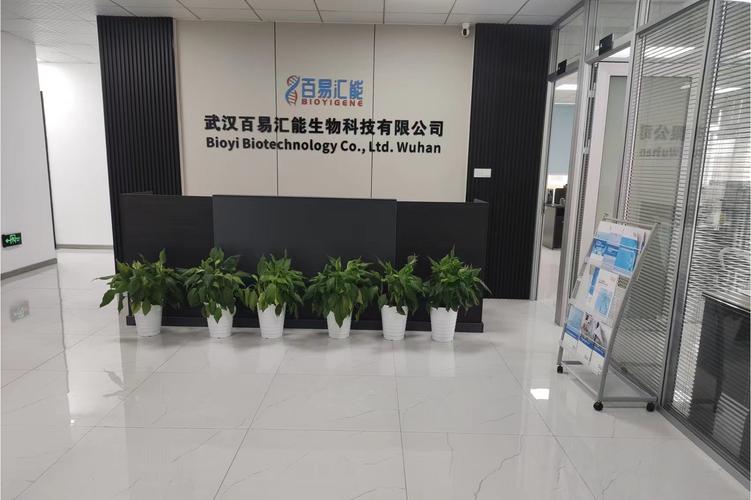 软件技术开发、推广与服务 企业数字化转型的全方位解决方案